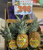 パイン　オススメです🍍「本日のいちご🍓298円！！　夏らしいフルーツもたくさん並んでますよ～🍉🍍　枚方ビオルネ地下1階　新鮮果実 日野屋」