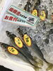 「魚魚市場鮮魚コーナーおすすめは「ヤリイカ」です♪」