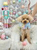 シュンくん「MerryXmas🎄」