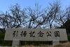 引揚記念公園「引揚記念公園　桜情報！」