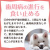 歯周病を食い止める「犬のデンタルケア」