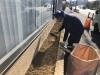 作業中 / 土を入れ替えます「川西市でコニファーの植栽工事をしました!」