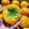 「奈良県産　「富有柿」の入荷が始まっていますよ～♬」