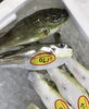 「魚魚市場鮮魚コーナーおすすめは「ワタリガニ」です♪」