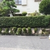 枝切り／剪定