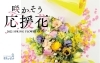 春に贈る 応援花 退職 卒業 入学などのお祝いに 花キューピットでお花じかん まいぷれ 黒部 入善 朝日