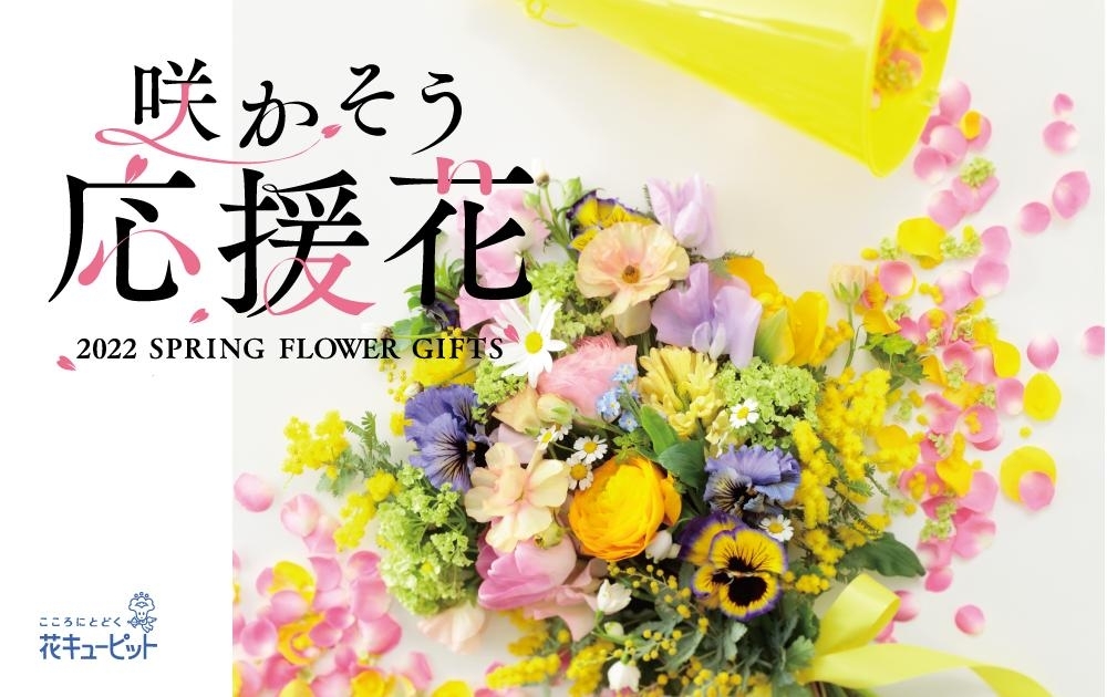 春に贈る 応援花 退職 卒業 入学などのお祝いに 花キューピットでお花じかん まいぷれ 黒部 入善 朝日 春に贈る 応援花 退職 卒業 入学などのお祝いに 花キューピットでお花じかん まいぷれ 黒部 入善 朝日