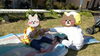 はい！どーぞ「いいお天気！！【交野市 小規模保育園】」