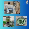 絞り染め　染液を作って浸します「　杉並区　永福和泉地域区民センター協議会　　藍染体験小学生教室へ」
