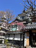 春の訪れを告げる美しい桜がお出迎え善光寺「「朝からだるい…」が続くとき、それは体質だけのせい？」