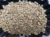 「【厳選コーヒー豆図鑑☕ vol.10】華やかで深みのあるエチオピア ゲイシャG3の魅力」