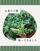 採りたてタラの芽「タラの芽の天ぷら」