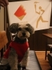 そして真顔（笑）「聖火ランナーFlagがやってきたぁ❕」