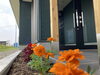 花壇「TOMASEI柳町社屋 花壇」