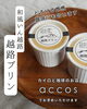 越路プリン「「わんこのおやつ販売会2025」 にaccosが出店します！」