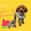 「Dog salon mofu mofu　余市町」