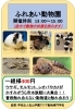 「ナマズハントツアーやふれあい動物園！🐰✨【かすみがうら市水族館週末イベント情報】」