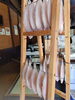 「📣本日のお魚情報🐟」