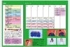 「コンパスダンススタジオ間も無くオープン」