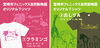 オリジナルTシャツ　①フラミンゴ　②おしりA「動物園のオリジナルＴシャツ！【宮崎市/動物園/おみやげ/観光】」