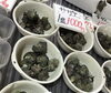 「魚魚市場鮮魚コーナーおすすめは「ヒオウギ貝・サザエ」です♪」