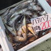 「今日は時化のあとで魚は沢山入っております🐟️🐟️🐟️」