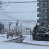 「大雪の三連休中日ですね」