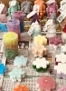 「とちぎナイスハート農福マルシェ& とちぎナイスハートバザールinけんちょう」