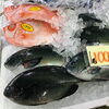 「魚魚市場鮮魚コーナーおすすめは「キンコダイ」です♪」