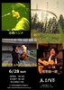 「6月ライブ情報☆完」