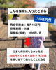 4「【保険料をなかったことにする魔法】｜江戸川区の子育て世代のためのファイナンシャルプランナー」