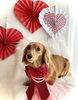 マイちゃん／整えカット「Happy Valentine ♡ ＆  店休日のお知らせ」