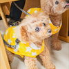 きなこちゃん「今日のお友達」