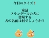 「1月12日火曜日今日のクイズ!!『童話、フランダースの犬に登場する犬の名前は何でしょうか？』本日のおすすめmenu✨いか丼……900円…真いかです。漁協の食堂でお魚ランチはいかがでしょうか？」