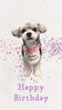 「Dog salon mofu mofu　余市町」