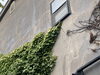 「7/13（土）14（日）その場でおうちの塗装代の概算費用が解る！『屋根外壁塗装相談会』開催します！」