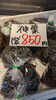 「春の京丹後は海藻ブーム✨✨」