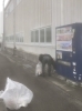 「11月のJARA全国一斉清掃実施しました！！★地域をキレイに★」