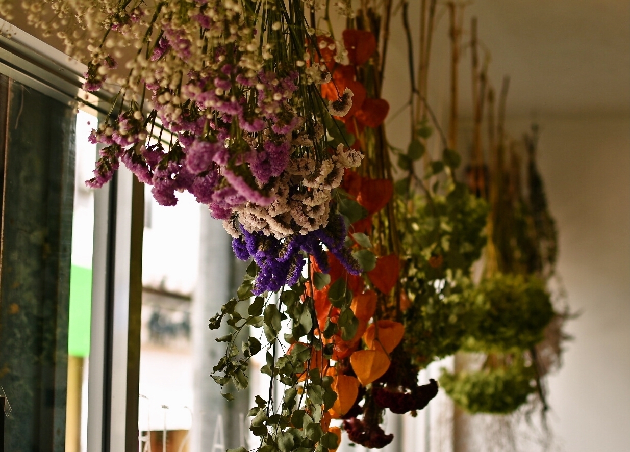 糸島市前原中央 Plaisir プレジール 商店街のすてきなお花屋さん 糸島市の新店オープン特集 まいぷれ 糸島市 糸島市前原中央 Plaisir プレジール 商店街のすてきなお花屋さん 糸島市の新店オープン特集 まいぷれ 糸島市