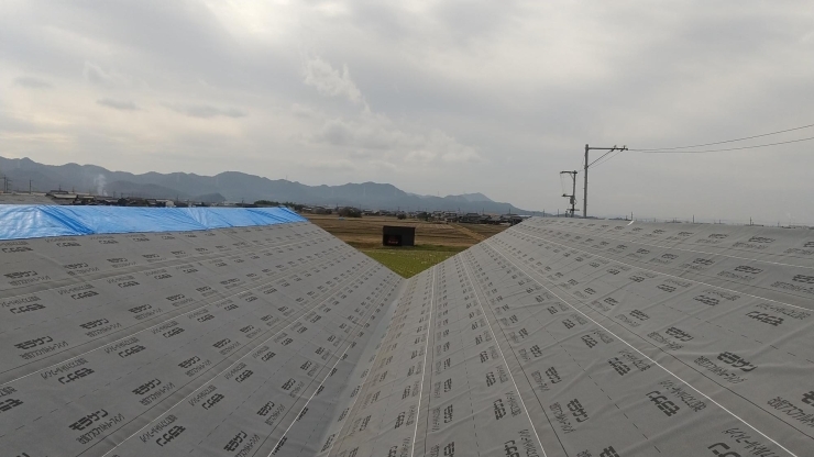 地震にも耐えられる軽くて強い材質「あけましておめでとうございます♪」