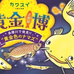 6月30日まで展示中！　多摩川で発見された黄金ナマズ「たまずん」