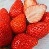川口市産いちご🍓　今年は、紅ほっぺ、べにたま、やよい姫、よつぼしなどを使用。　「いちごの季節真っ盛り🍓いちごさんど祭やってます。」