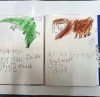 「「手作り恐竜図鑑」を作成！！」