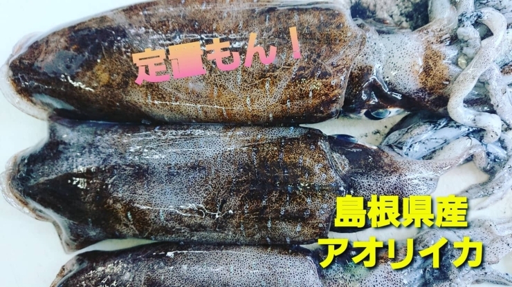 本日のお刺身 定置もん 島根県産コシナガマグロ アオリイカ 寺津屋 仕出し 会席料理のニュース まいぷれ 松江 本日のお刺身 定置もん 島根県産コシナガマグロ アオリイカ 寺津屋 仕出し 会席料理のニュース まいぷれ 松江