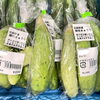 「信州伝統野菜『ぼたんこしょう』や『開田きゅうり』が入荷しました！」