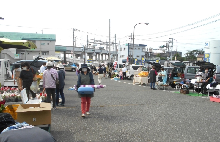 「今度の軽トラ朝市は１０日（今度の日曜日）開催です」