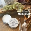 エゾディア肉球クリーム [犬用] 20g