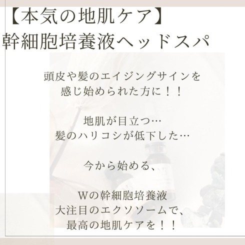 Queenie が贈る 業界最先端 3ヶ月集中! 本気の『幹細胞培養液