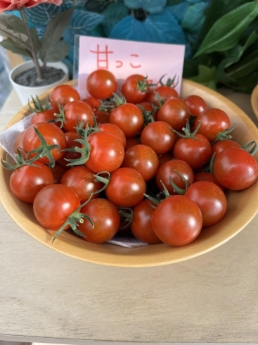 2位　甘っこ「いしかわ菜園の人気トマトベスト3(豊明市沓掛町のトマト直売所)」