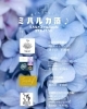多彩な占いや癒やし体験「☘6月10日 ミハルカ酒♪イベント出店します☘」